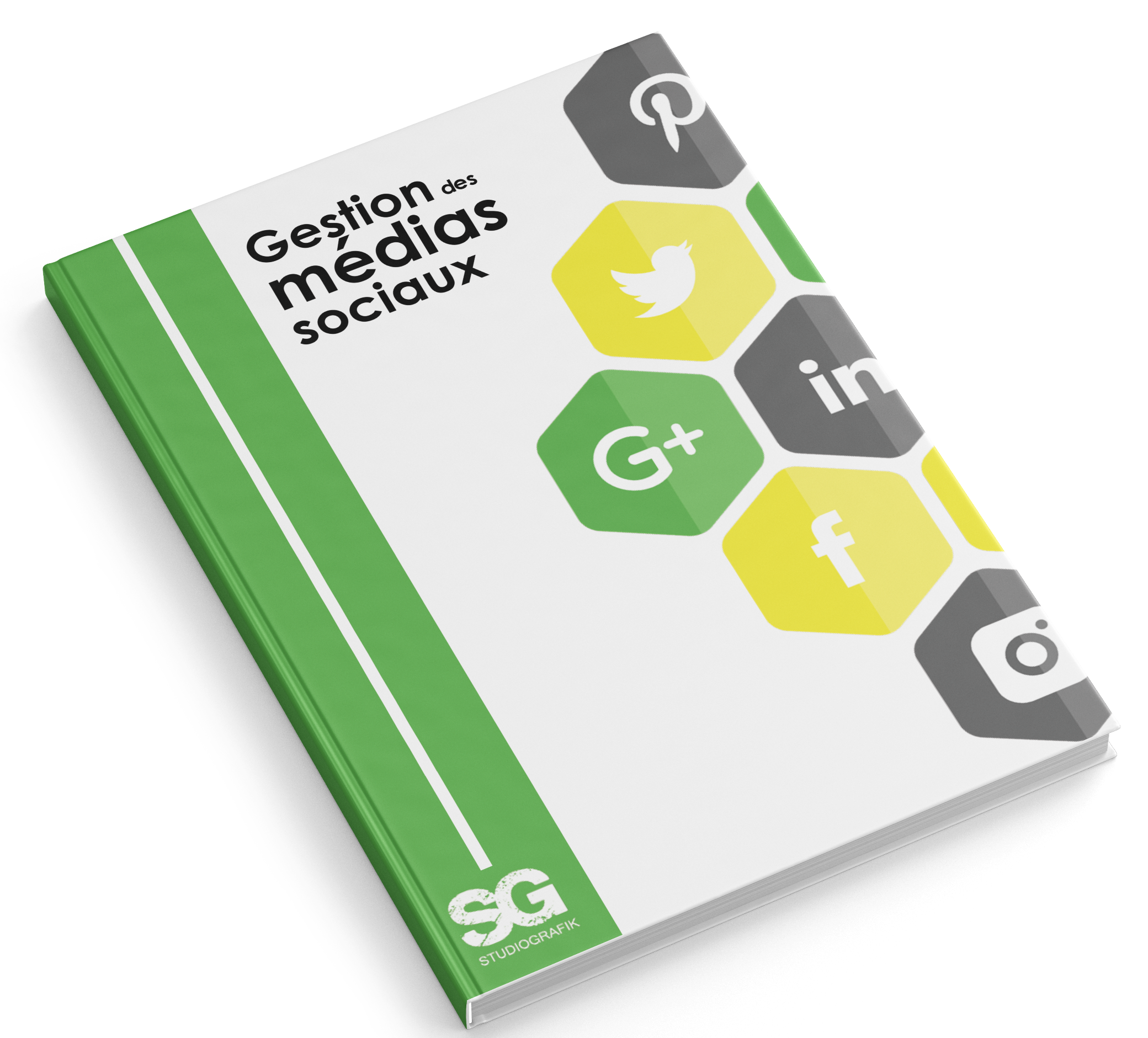 Ebook Gestion des médias sociaux